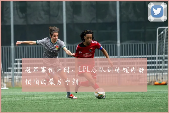 冠军赛倒计时，LPL各队训练馆内静悄悄的最后冲刺
